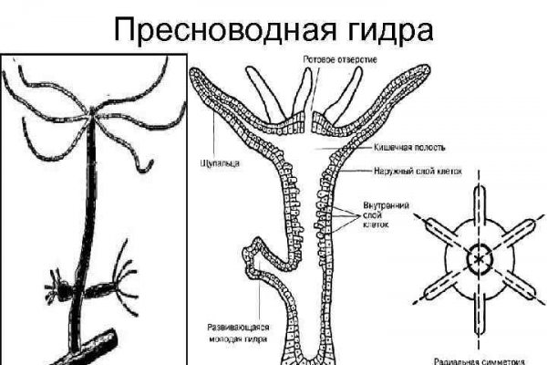 Mega ссылка телеграф